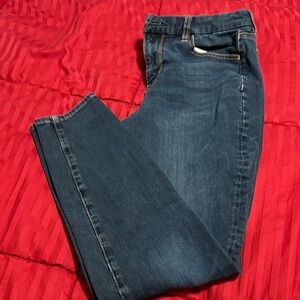 American Eagle Curvy Hi Rise Jegging 10 Regular